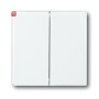 B&J2CKA001751A2752 / Wippe Serienschalter / EAN 4011395995914