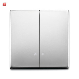 B&J2CKA001751A3132 / Wippe Wippe-Serien-Kontrollschalter / EAN 4011395223949