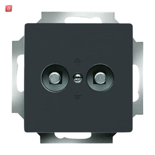 B&J2CKA002495A0084 / Unterputz-Potenzial-Ausgleichsstecker 2-fach / EAN 4011395065532