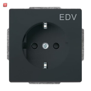 B&J2CKA002013A5266 / SCHUKO® Steckdosen-Einsatz mit Aufdruck "EDV" / EAN 4011395065433