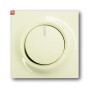 B&J2CKA006599A2916 / Zentralscheibe mit Drehknopf, Bef.-Mutter und Glimmlampe / EAN 4011395082829