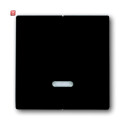 B&J2CKA006599A2906 / Bedienelement mit Glimmlampe /...