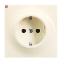 B&J2CKA002011A3844 / SCHUKO® Steckdosen-Einsatz /...
