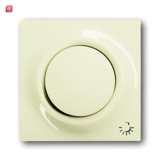 B&J2CKA001753A0072 / Zentralscheibe mit Betätigungsknopf und Glimmlampe / EAN 4011395082997
