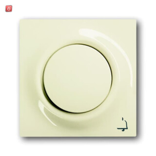 B&J2CKA001753A0070 / Zentralscheibe mit Betätigungsknopf und Glimmlampe / EAN 4011395082584