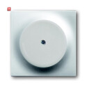 B&J2CKA001753A0035 / Blindzentralscheibe mit Tragring...