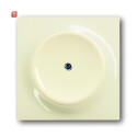 B&J2CKA001753A0034 / Blindzentralscheibe mit Tragring...