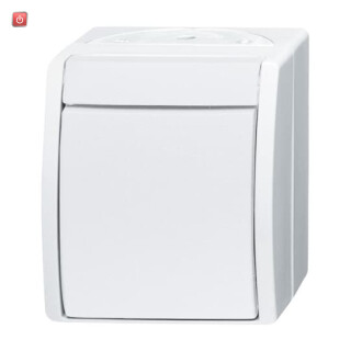 B&J2CKA001085A1627 / Wippschalter Ausschaltung, 2-polig / EAN 4011395083680