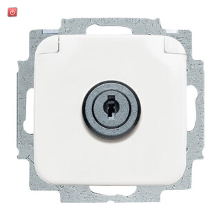 B&J2CKA002018A1479 / SCHUKO® Steckdosen-Einsatz mit Klappdeckel und Schloss / EAN 4011395036846
