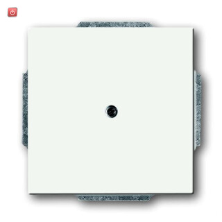 B&J2CKA001710A3873 / Blindzentralscheibe mit Tragring / EAN 4011395126936