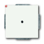 B&J2CKA001710A3873 / Blindzentralscheibe mit Tragring / EAN 4011395126936
