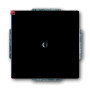 B&J2CKA001710A3895 / Blindzentralscheibe mit Tragring / EAN 4011395127179