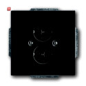 B&J2CKA001723A0259 / Zentralscheibe mit Tragring /...
