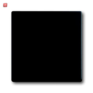 B&J2CKA001751A3038 / Wippe Serienschalter / EAN 4011395129685