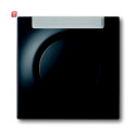 B&J2CKA001753A0151 / Zentralscheibe mit...