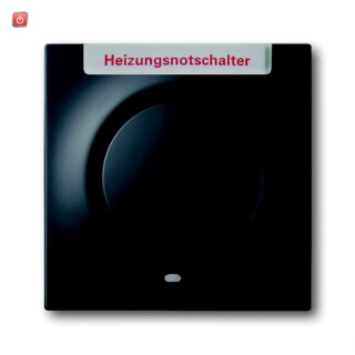 B&J2CKA001753A0154 / Zentralscheibe mit Betätigungsknopf und Glimmlampe / EAN 4011395127735