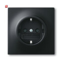 B&J2CKA002011A3886 / SCHUKO® Steckdosen-Einsatz /...