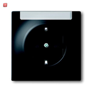 B&J2CKA002011A3888 / SCHUKO® Steckdosen-Einsatz mit Beschriftungsfeld / EAN 4011395128985