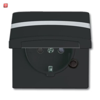 B&J2CKA002064A0302 / SCHUKO® Steckdosen-Einsatz mit Klappdeckel und Beschriftungsfeld / EAN 4011395172339