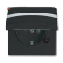 B&J2CKA002064A0302 / SCHUKO® Steckdosen-Einsatz mit Klappdeckel und Beschriftungsfeld / EAN 4011395172339