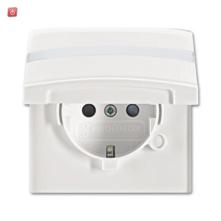 B&J2CKA002064A0301 / SCHUKO® Steckdosen-Einsatz mit Klappdeckel und Beschriftungsfeld / EAN 4011395172322