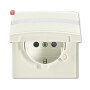 B&J2CKA002064A0299 / SCHUKO® Steckdosen-Einsatz mit Klappdeckel und Beschriftungsfeld / EAN 4011395172308