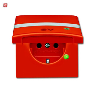 B&J2CKA002064A0304 / SCHUKO® Steckdosen-Einsatz mit Klappdeckel, Beschriftungsfeld und LED / EAN 4011395172353