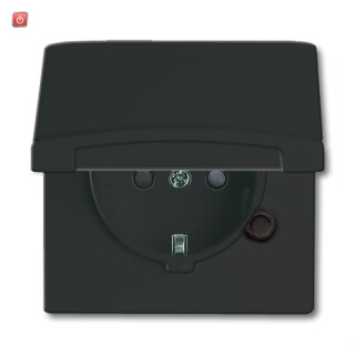 B&J2CKA002064A0295 / SCHUKO® Steckdosen-Einsatz mit Klappdeckel / EAN 4011395172261