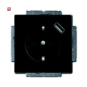 B&J2CKA002011A6165 / SCHUKO® USB-Steckdose mit...