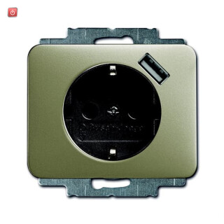 B&J2CKA002011A6172 / SCHUKO® USB-Steckdose mit erh. Berührungsschutz / EAN 4011395164495