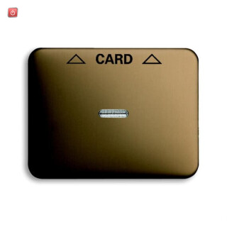 B&J2CKA001710A3294 / Zentralscheibe Cardschalter / EAN 4011395004715