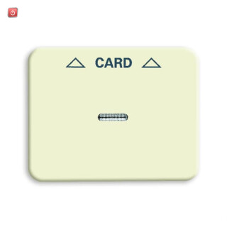 B&J2CKA001710A3295 / Zentralscheibe Cardschalter / EAN 4011395004739
