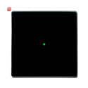 B&J2CKA006220A0032 / Wippe 1-fach, ohne Bedruckung /...