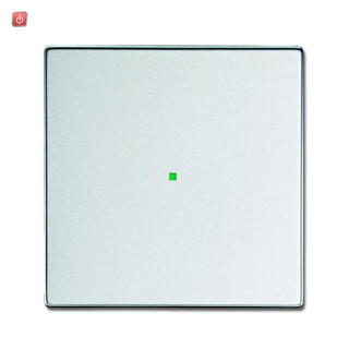B&J2CKA006220A0033 / Wippe 1-fach, ohne Bedruckung / EAN 4011395181997