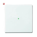 B&J2CKA006220A0034 / Wippe 1-fach, ohne Bedruckung /...