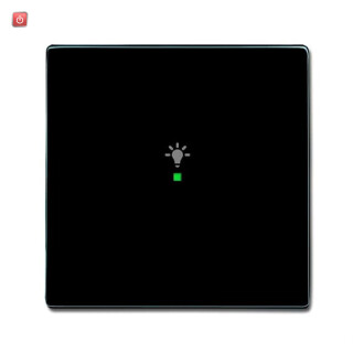 B&J2CKA006220A0035 / Wippe 1-fach, mit Symbol "Licht" / EAN 4011395181331