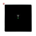 B&J2CKA006220A0035 / Wippe 1-fach, mit Symbol...