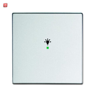 B&J2CKA006220A0036 / Wippe 1-fach, mit Symbol "Licht" / EAN 4011395182017