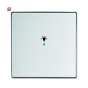 B&J2CKA006220A0036 / Wippe 1-fach, mit Symbol...