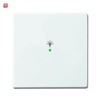 B&J2CKA006220A0037 / Wippe 1-fach, mit Symbol "Licht" / EAN 4011395181676