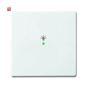 B&J2CKA006220A0037 / Wippe 1-fach, mit Symbol...