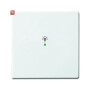 B&J2CKA006220A0037 / Wippe 1-fach, mit Symbol "Licht" / EAN 4011395181676