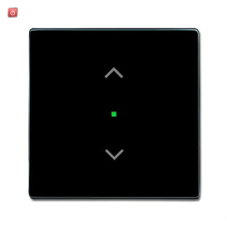 B&J2CKA006220A0038 / Wippe 1-fach, mit Symbol "Jalousie" / EAN 4011395181348