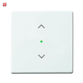 B&J2CKA006220A0040 / Wippe 1-fach, mit Symbol "Jalousie" / EAN 4011395181683