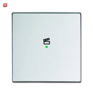 B&J2CKA006220A0042 / Wippe 1-fach, mit Symbol "Szene" / EAN 4011395182031