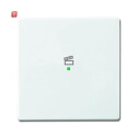 B&J2CKA006220A0043 / Wippe 1-fach, mit Symbol...