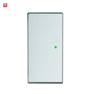 B&J2CKA006220A0048 / Wippe 2-fach links/rechts, ohne Bedruckung / EAN 4011395182055