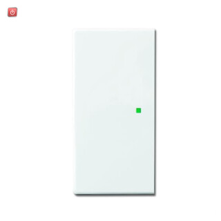 B&J2CKA006220A0049 / Wippe 2-fach links/rechts, ohne Bedruckung / EAN 4011395181720