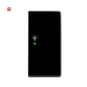 B&J2CKA006220A0062 / Wippe 2-fach rechts, mit Symbol...