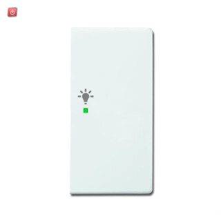 B&J2CKA006220A0064 / Wippe 2-fach rechts, mit Symbol "Licht" / EAN 4011395181775